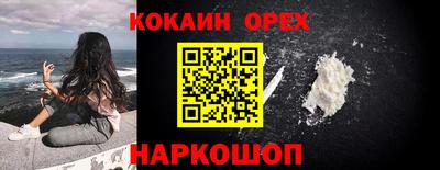 бошки Тара