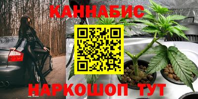 бошки Тара