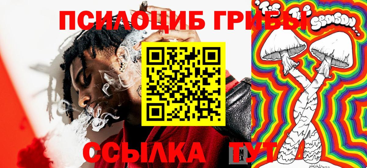 Новочеркасск  Псилоцибиновые грибы Psilocybe  Вход с VPN 